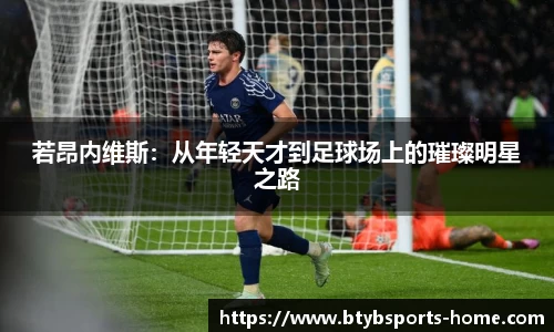 bsports登录入口